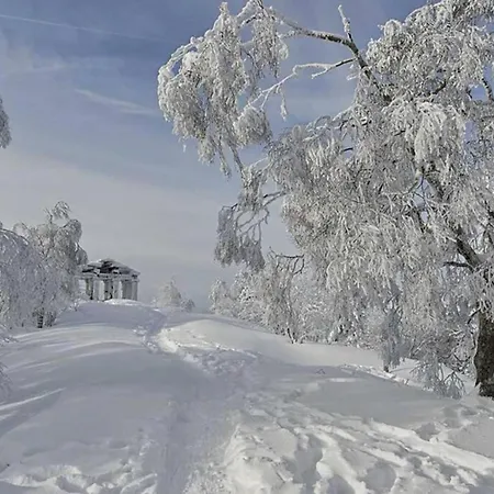 Maison Rurale En Bordure De Foret Apartament *