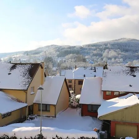 Maison Rurale En Bordure De Forêt Appartement Schirmeck